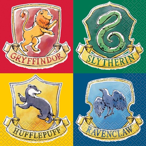 Harry Potter Party Kit thumbnail 2