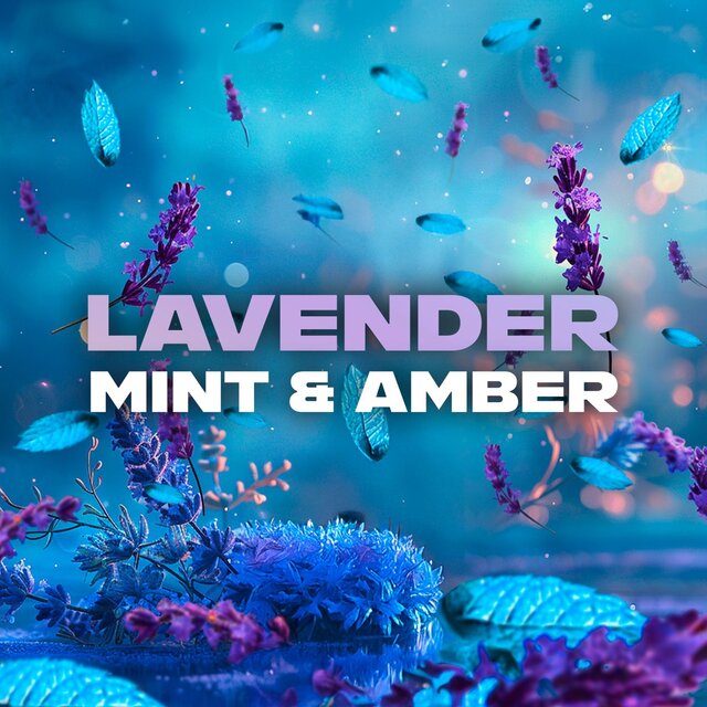 Lynx Fine Fragrance Blue Lavender Stick thumbnail 3