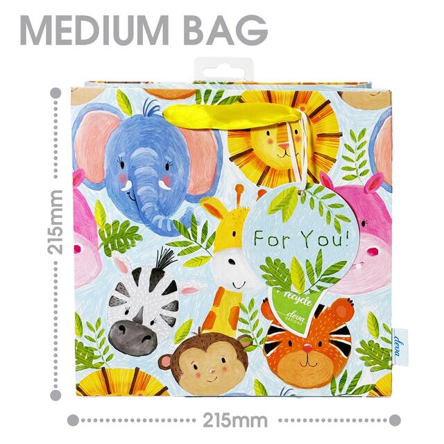 Heads & Tails Medium Gift Bag thumbnail 2