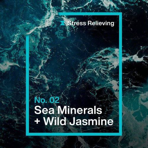 INEOS Washing Up Liquid Sea Minerals + Wild Jasmine thumbnail 3