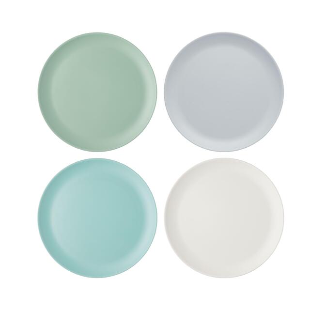 Colourworks Classics Picnic Dinner Plates