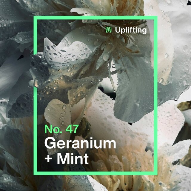 INEOS Skin Science Deodorant Wipes Geranium + Mint thumbnail 3