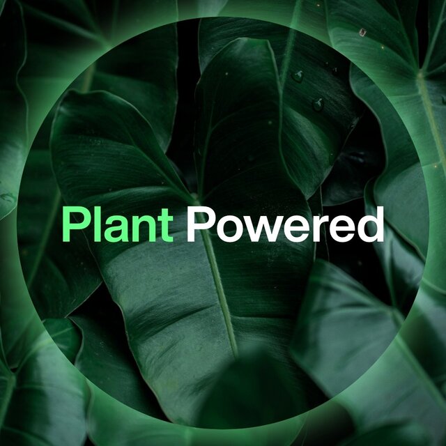 INEOS Skin Science Deodorant Wipes Geranium + Mint thumbnail 9