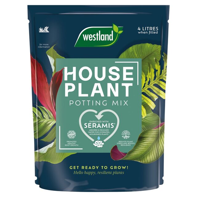 Westland Houseplant Potting Mix Peat Free 4L