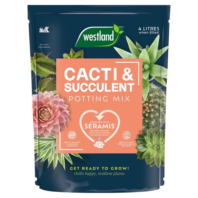 Westland Cacti & Succulent Potting Mix Peat Free 4L