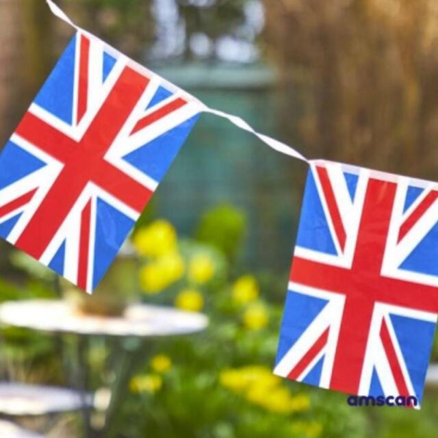 Red, White & Blue UK Flag Plastic Bunting 5m thumbnail 3