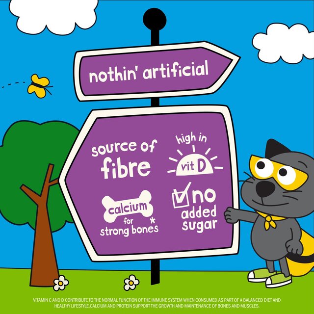 The Collective Super Spoonies Tummy Goodness Banana & Mango thumbnail 2