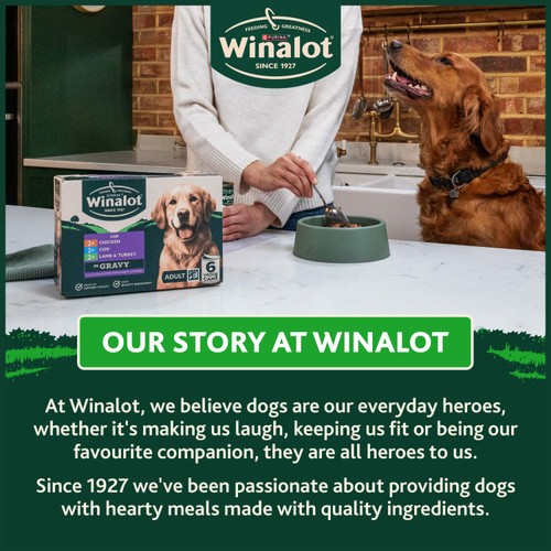 Winalot Classics Mixed in Jelly Lamb & Turkey Wet Dog Food thumbnail 7