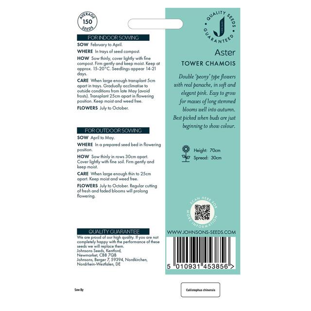 Mr Fothergills Seeds Aster Tower Chamois thumbnail 2