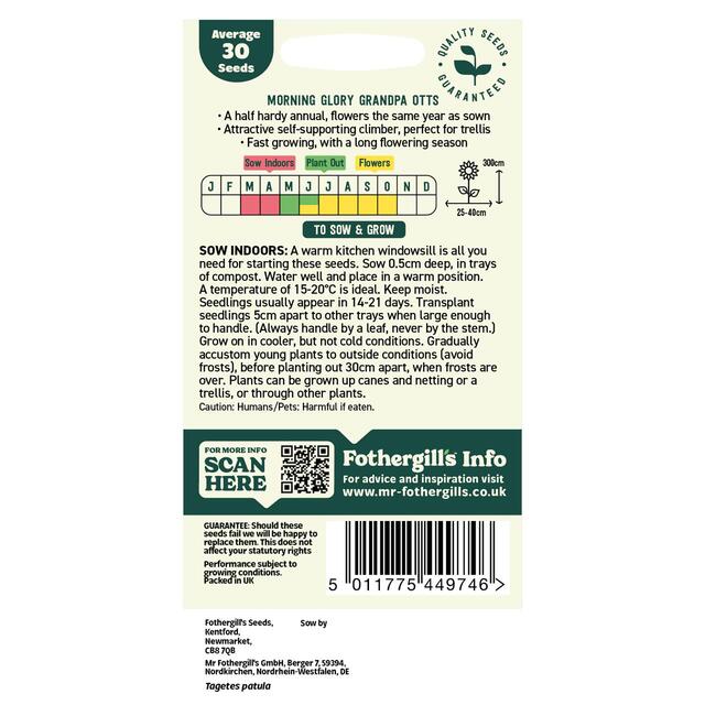 Mr Fothergills Seeds - Oh Sow Simple Morning Glory Purple thumbnail 2