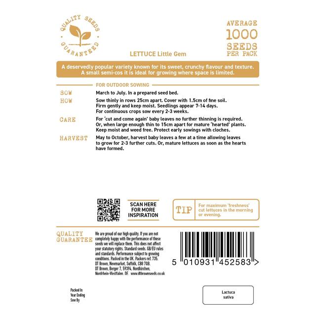 Mr Fothergills Seeds - D.T. Brown Lettuce Little Gem thumbnail 2