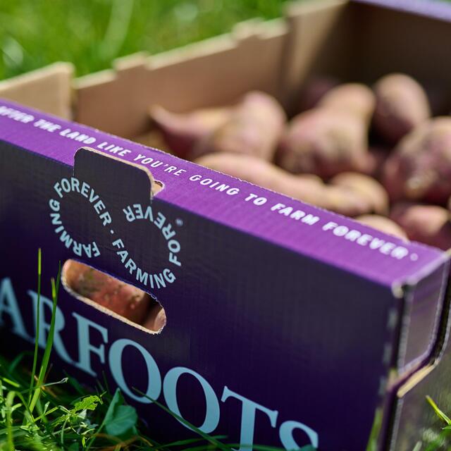 Barfoots Farming Forever White Flesh Sweet Potatoes thumbnail 4