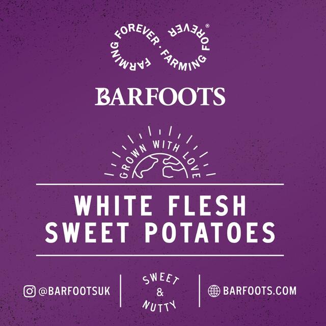 Barfoots Farming Forever White Flesh Sweet Potatoes thumbnail 5