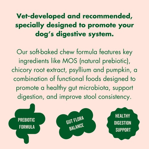 Marleybones Gut Supplement Chew thumbnail 3