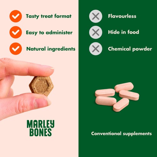 Marleybones Gut Supplement Chew thumbnail 5