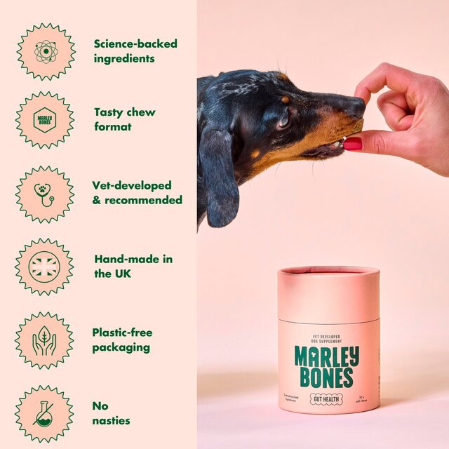 Marleybones Gut Supplement Chew thumbnail 8