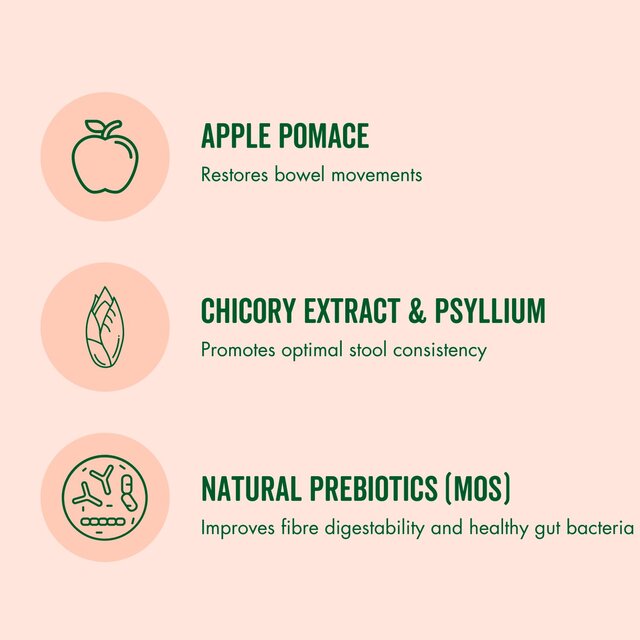 Marleybones Gut Supplement Chew thumbnail 9