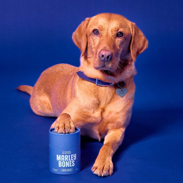 Marleybones Dental Supplement Chew thumbnail 3