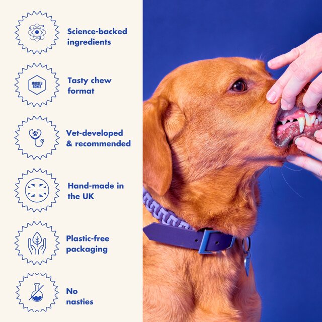 Marleybones Dental Supplement Chew thumbnail 7