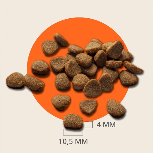 IAMS 7+ Senior Dry Cat Food Tuna thumbnail 4