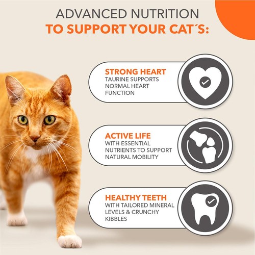 IAMS 7+ Senior Dry Cat Food Tuna thumbnail 6