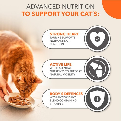 IAMS Senior Wet Cat Food Meat & Fish Variety Mix in Jelly thumbnail 3