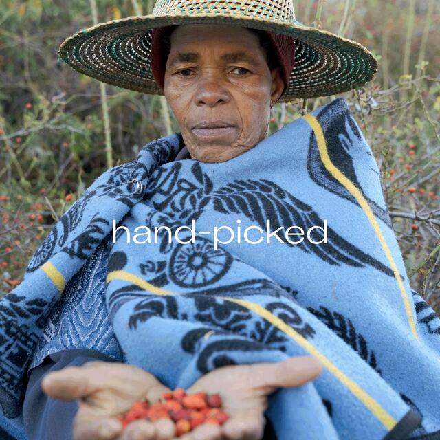 Trilogy Certified Organic Rosehip Oil thumbnail 3