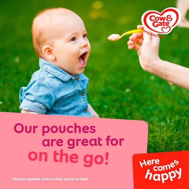 Cow & Gate Fruit Banana Apple Strawberry & Kiwi Baby Pouch 4+ Months thumbnail 4