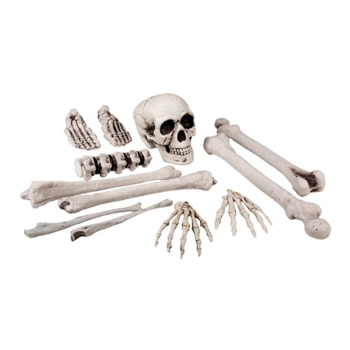 Skull & Bones Halloween Decoration