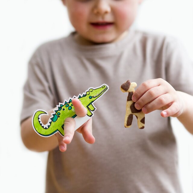 Craft & Crumb Be Wild Biscuits Bake & Craft Kit thumbnail 6