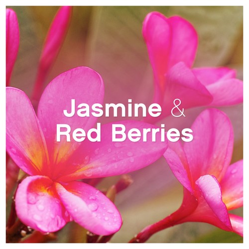 Lenor Fabric Enhancer Liquid Jasmine & Red Berries  thumbnail 3