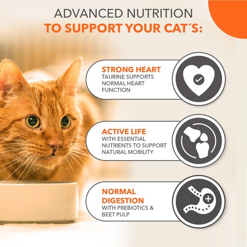 IAMS Senior 11+ Dry Cat Food Chicken thumbnail 5