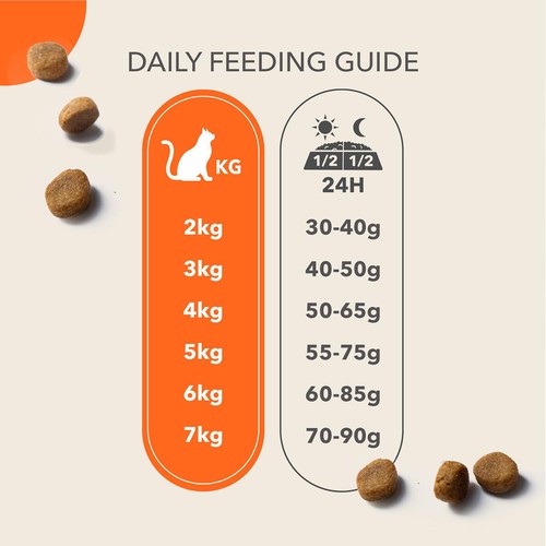IAMS Senior 11+ Dry Cat Food Chicken thumbnail 6