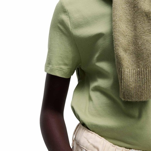 M&S Pure Cotton T-Shirt, 14, Fern Green thumbnail 4