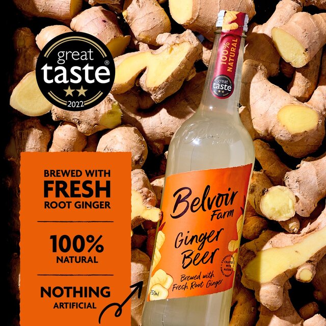 Belvoir Ginger Beer Presse thumbnail 5