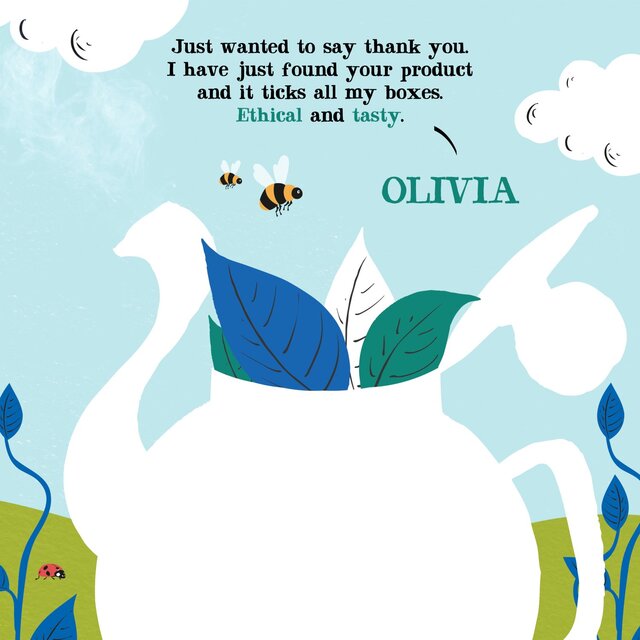 Clipper Organic Naturally Decaffeinated Tea Bags thumbnail 5