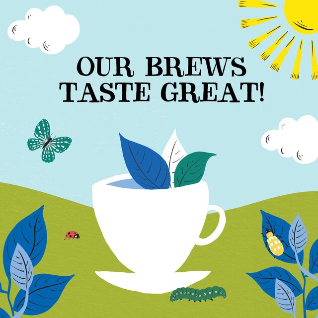 Clipper Organic Naturally Decaffeinated Tea Bags thumbnail 6