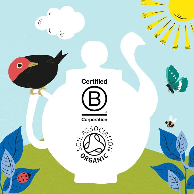 Clipper Organic Naturally Decaffeinated Tea Bags thumbnail 7