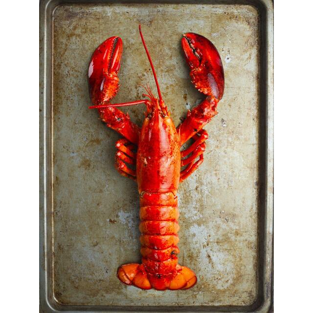 Royal Star Cooked Canadian Lobster thumbnail 3