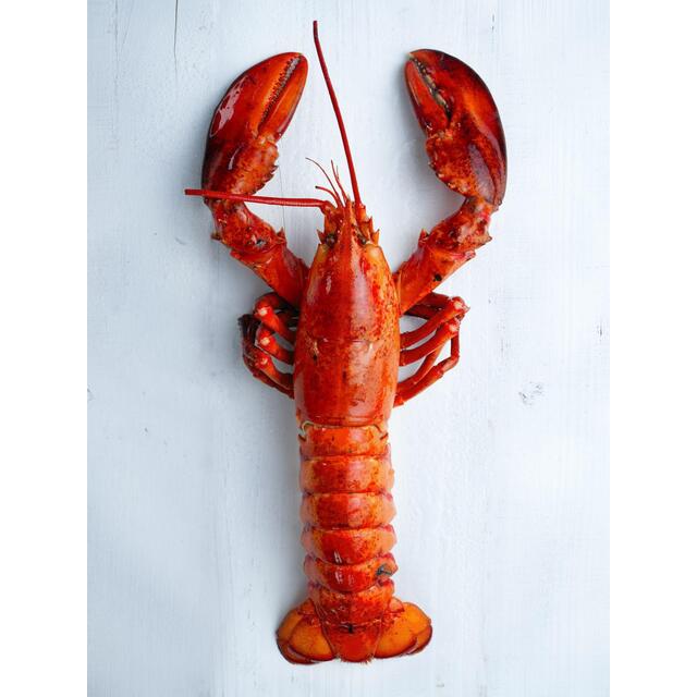 Royal Star Cooked Canadian Lobster thumbnail 4