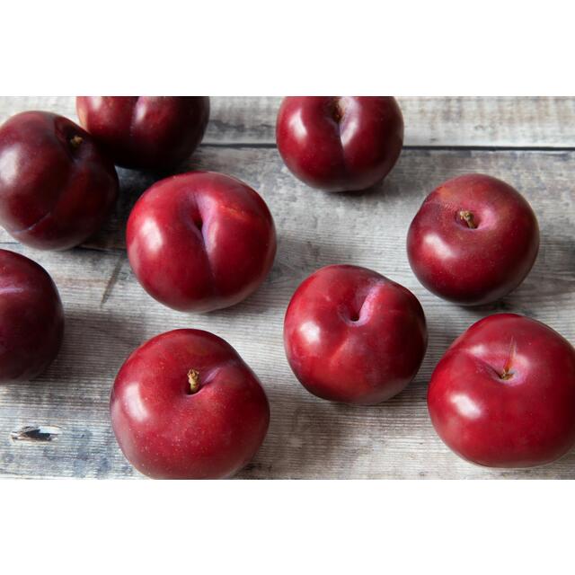 Diamond Crop Ripe and Ready to Eat Plum thumbnail 5