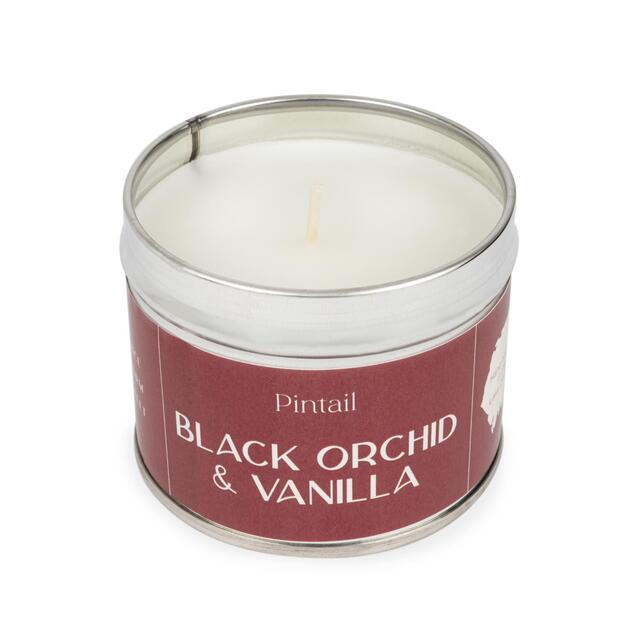 Pintail Candles Black Orchid & Vanilla Classic Tin Candle thumbnail 3