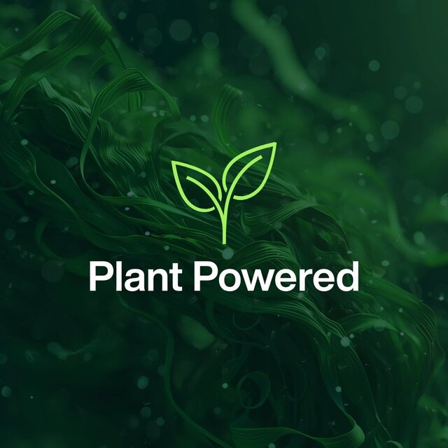 INEOS Antibac Multi-Room Spray Sicilian Lemon + Cypress thumbnail 6