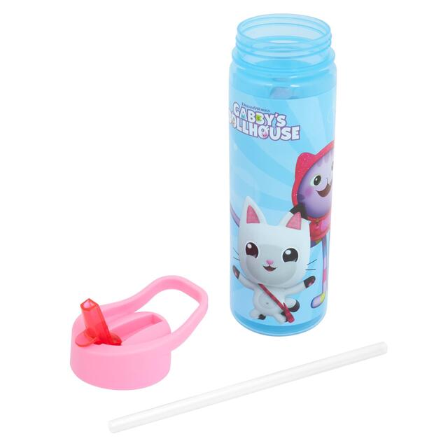 Polar Gear Kids Gabby's Dollhouse Party Sports Bottle 600ml thumbnail 3