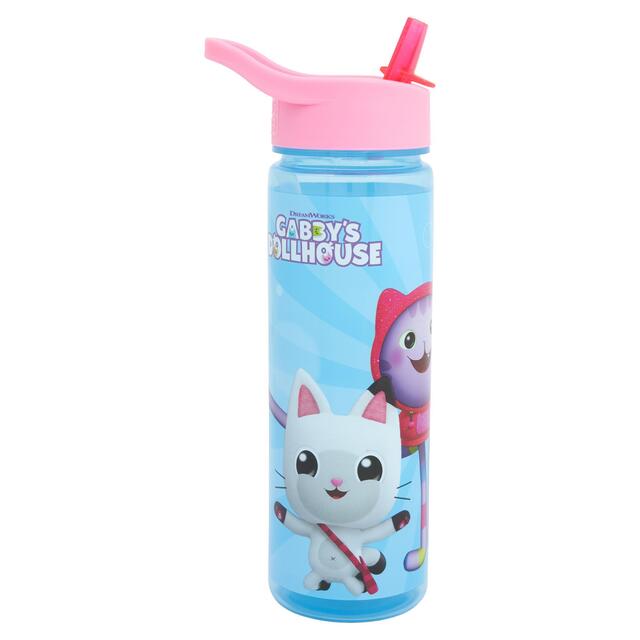Polar Gear Kids Gabby's Dollhouse Party Sports Bottle 600ml thumbnail 5