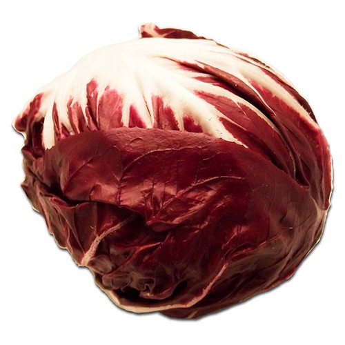 Natoora Italian Radicchio di Chioggia