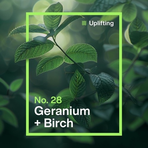 INEOS Non Bio Laundry Capsules Geranium + Birch 24 Washes thumbnail 6