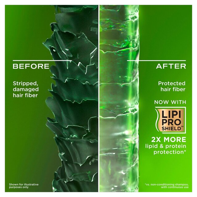 OGX Refreshing Scalp + Rosemary Mint Shampoo thumbnail 3