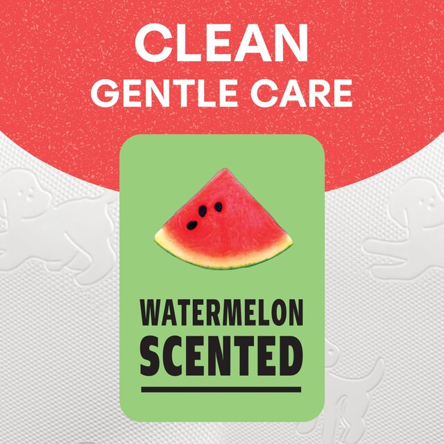 Andrex Family Soft Watermelon Toilet Roll thumbnail 3