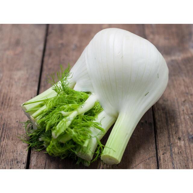 Natoora Italian Large Fennel thumbnail 2